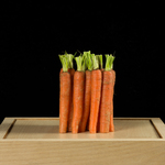 In 2019 I made a documentary series about pixel farming. That is robotised, biological precision farming on the square meter. For more information see www.campusalmkerk.nl [dutch]. At my request, I was allowed to make a documentary series about Pixel Farming at De Campus Almkerk.