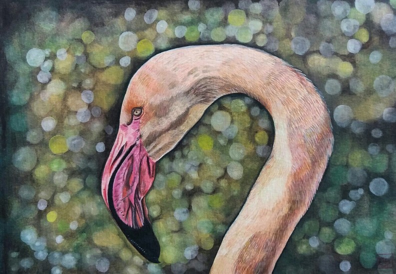 Flamingo