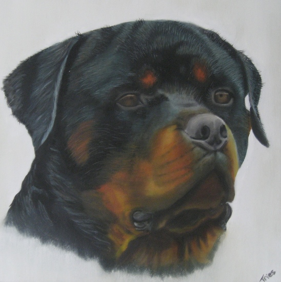 Rottweiler