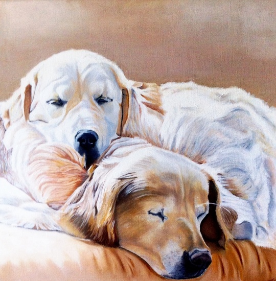 twee honden slapen op de bank