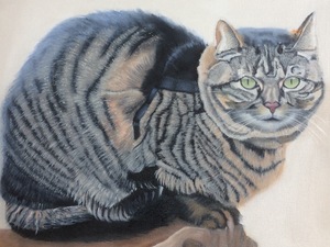 Dieren schilderen is wel een van mijn favorieten. Dat komt denk ik omdat ik zo van dieren houd. Portretten vind ik het mooiste om te schilderen. Er ligt zoveel gevoel in de ogen van een dier en dat is wat ik heel graag wil vastleggen.