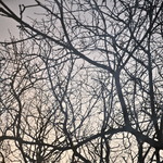 Fotografie gebruik ik veelal als vertrekpunt en komt voort uit de drang het moment vast te grijpen en op beeld vast te leggen.