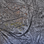 Ruimtelijk werk, installaties.