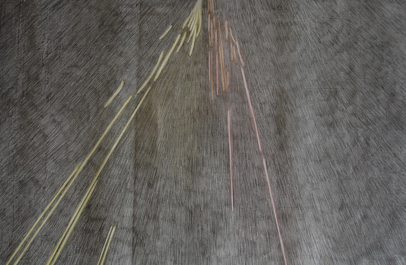 10.000 motorbicycles