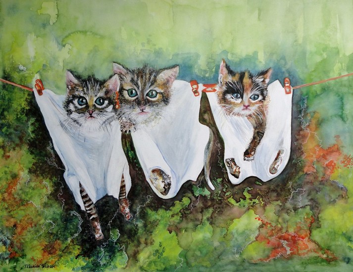 Kittens aan de waslijn