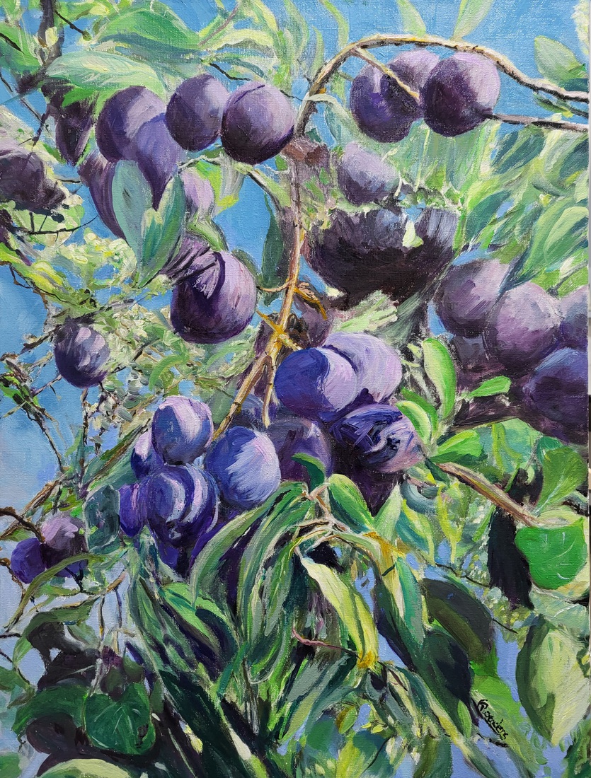 Pruimenboom
