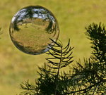 Foto's waarin ik de glazen bol gebruik om een andere werkelijkheid te tonen.