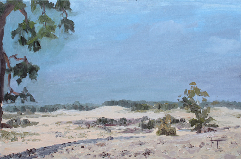 Loonse and Drunense Dunes I