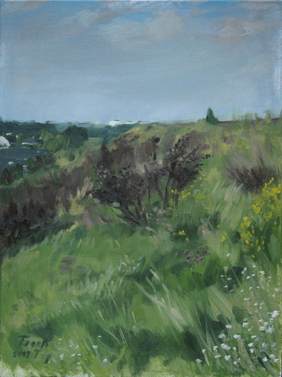 Op de Geluidswal bij Nieuw Wolfslaar