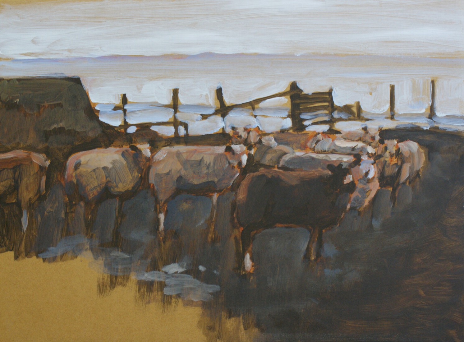 Schapen bij de Bûtenskilwei Stiens