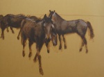 Paarden