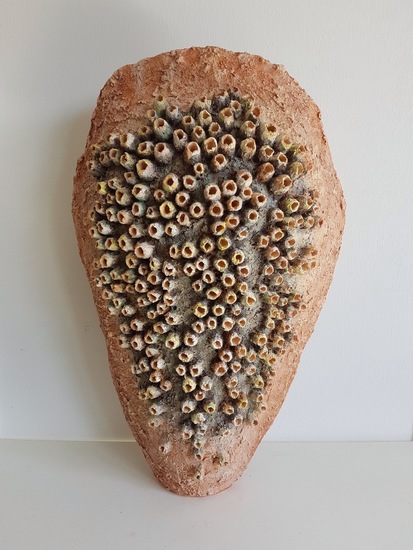 Oestervorm  met  zeepokken