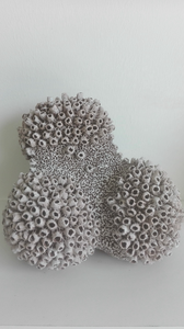 Organische vorm bezet met zeepokken