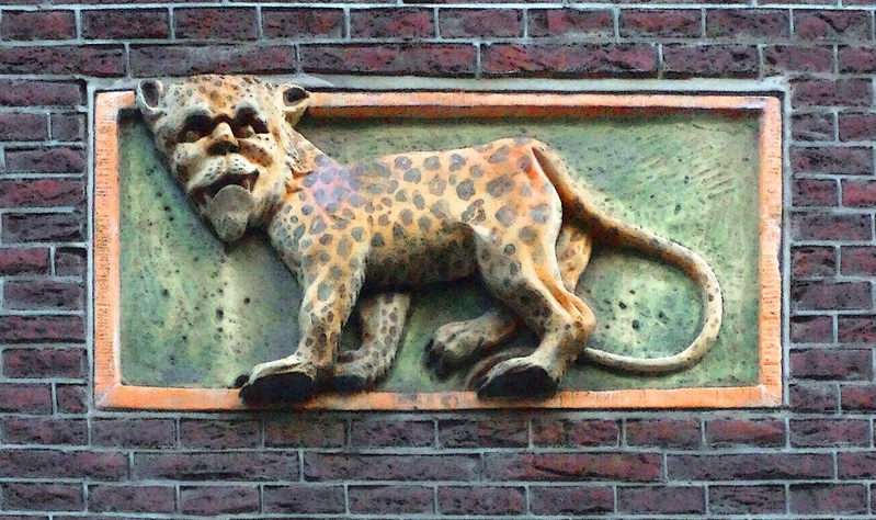 Leeuw-Olieverf op doek.