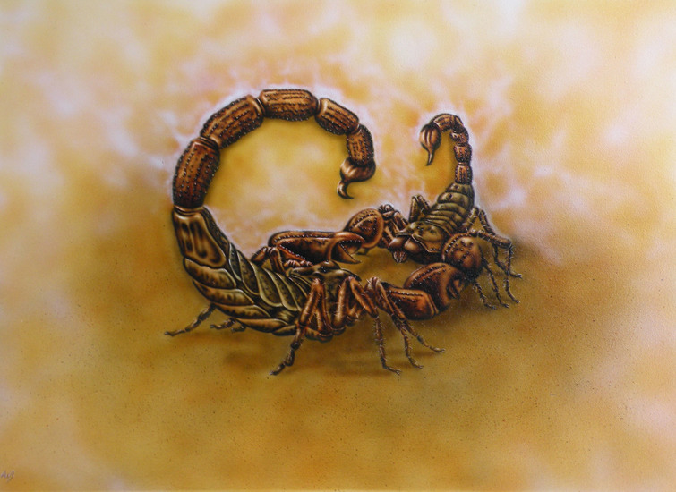 schorpioenen