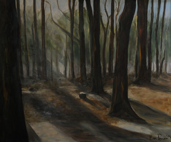 Het bos
