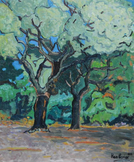 Kurkbomen