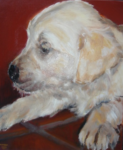 Portret hond MARQUA223 in elke prijsklasse! (nr.2)