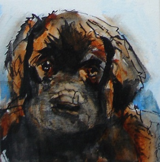 Hond portret MARQUA257 €45