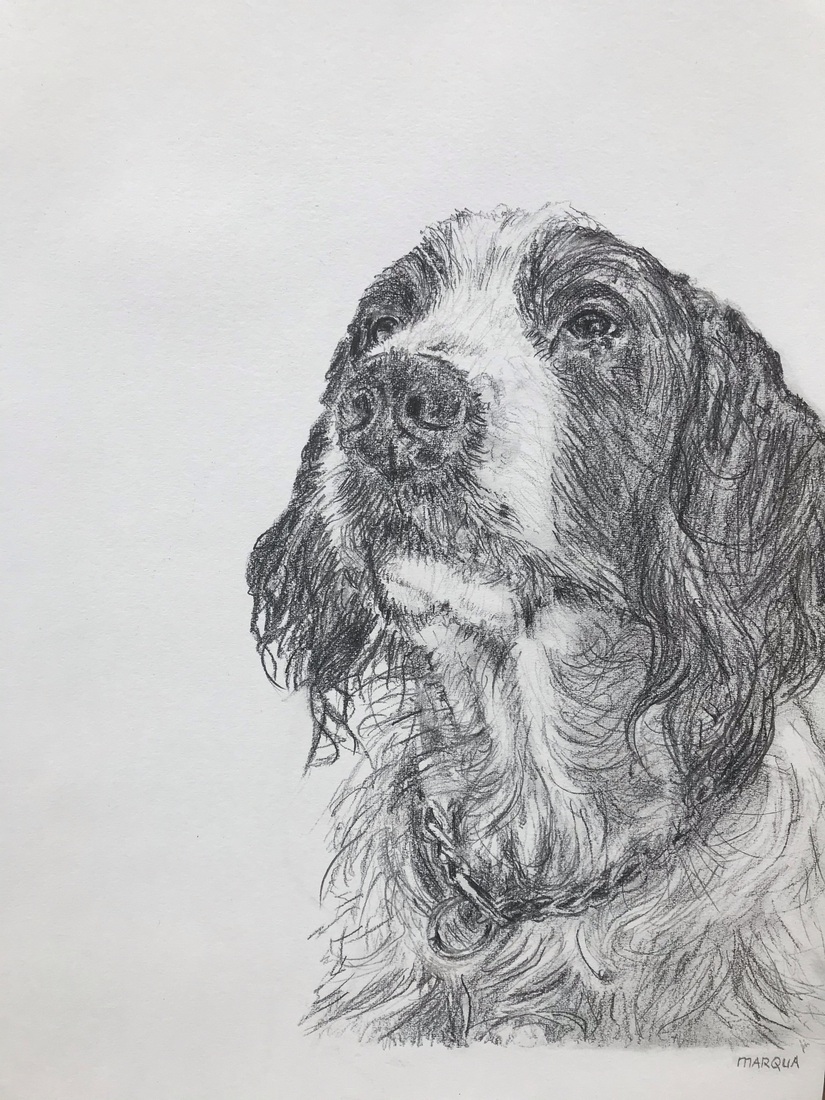 Portret hond, in opdracht gemaakt 