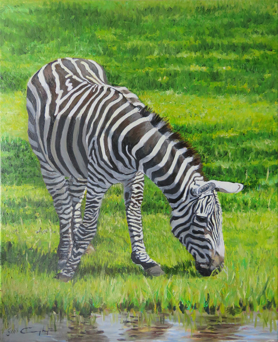 Yara's zebra