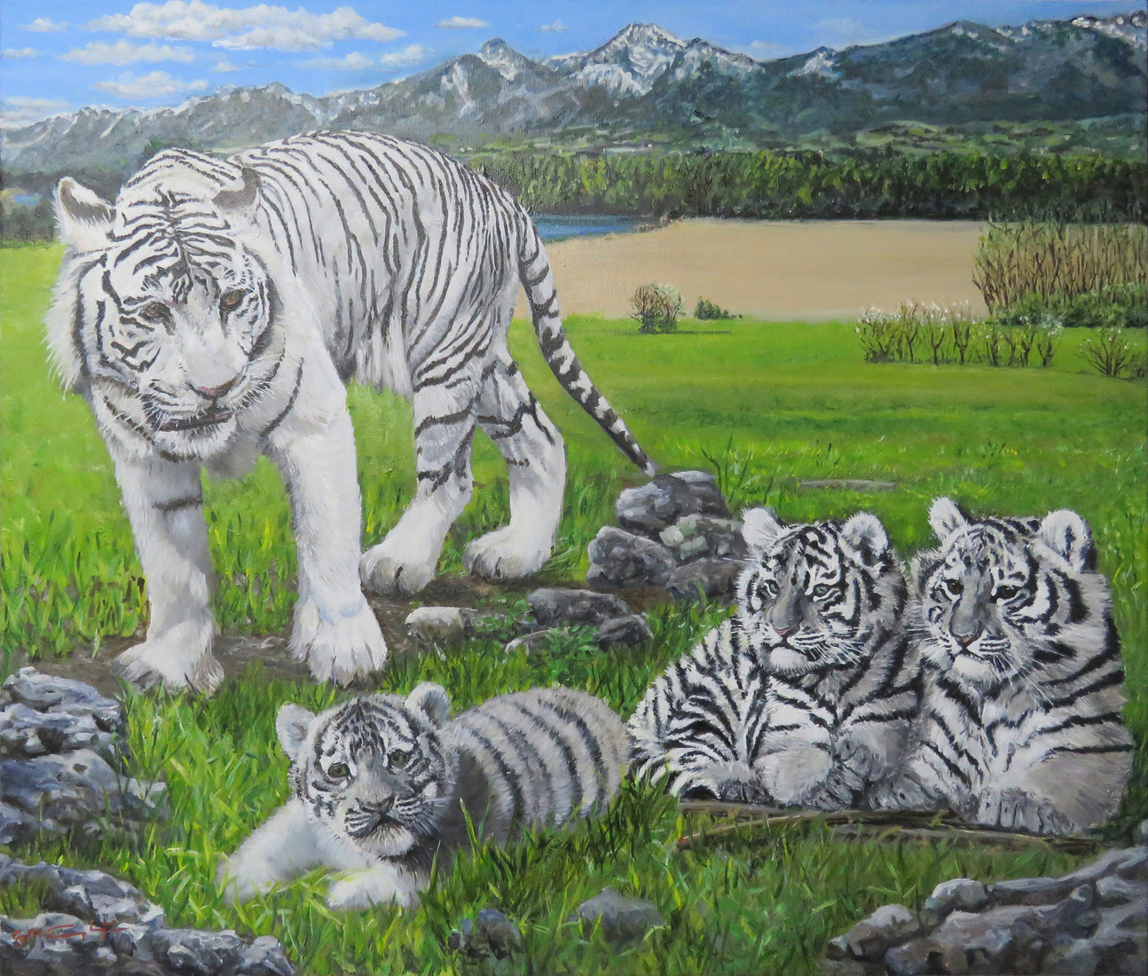 Witte tijger gezin