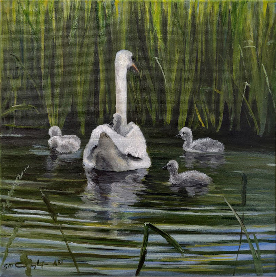 Zwanenfamilie