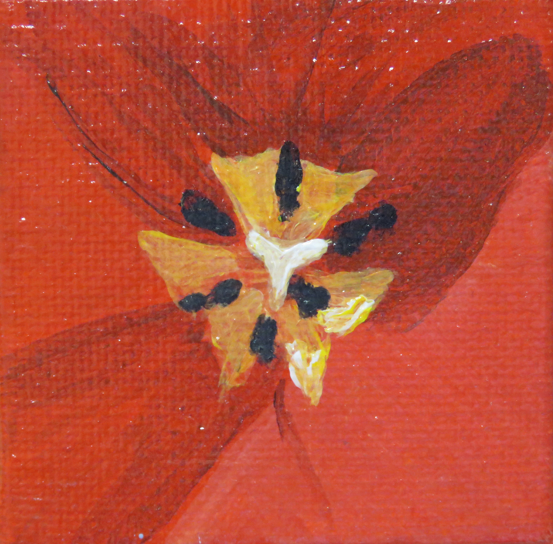 Tulp - mini