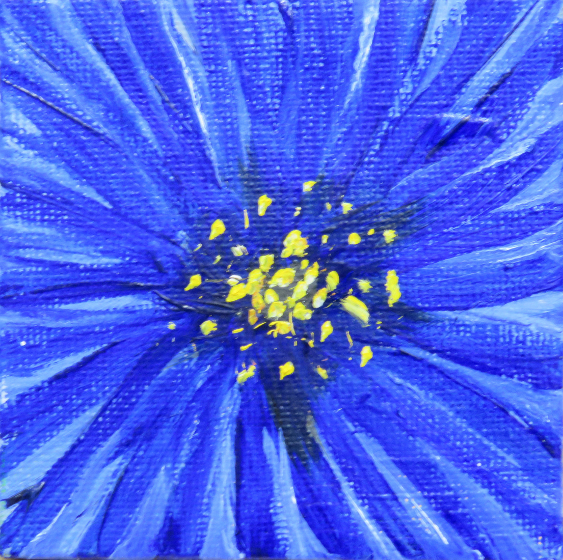 Blauwe bloem (2) - Mini