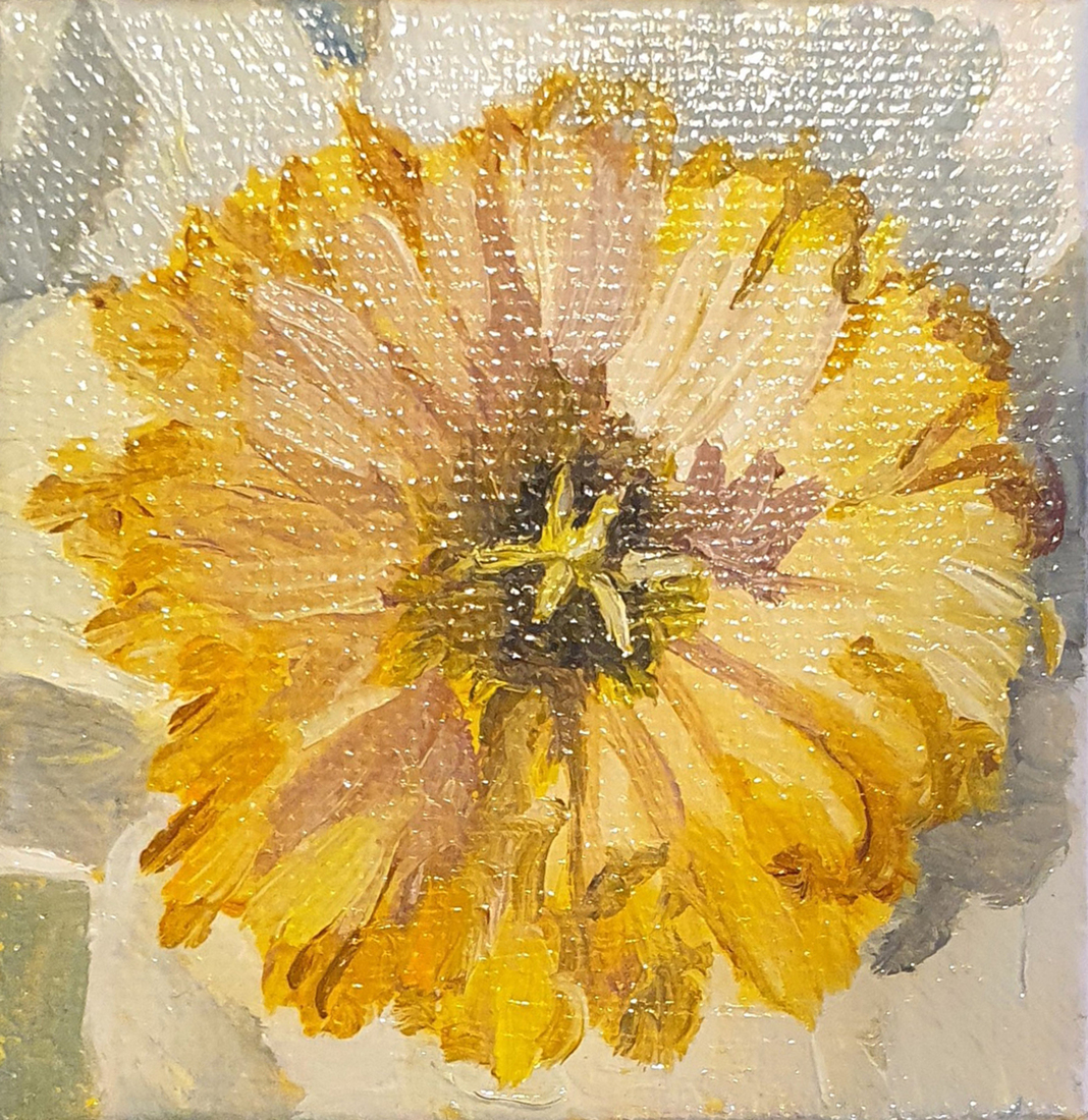 Narcis - mini 2