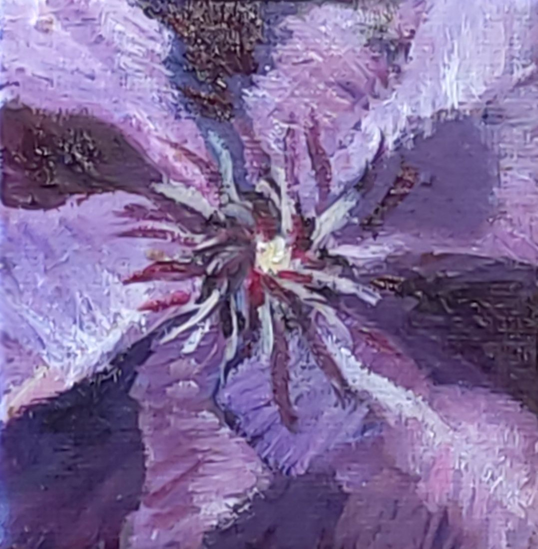 Purple Clematis - Mini