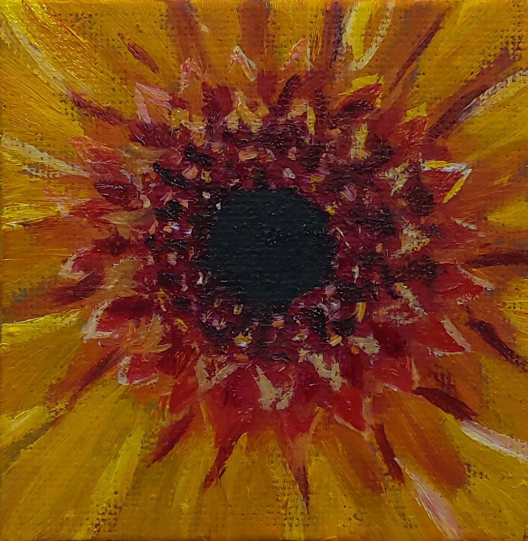 Dahlia - mini