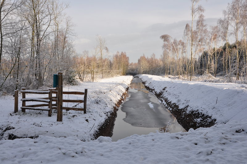 Natuurpunt Oud-Turnhout in de buurt van de Gaaienlaan