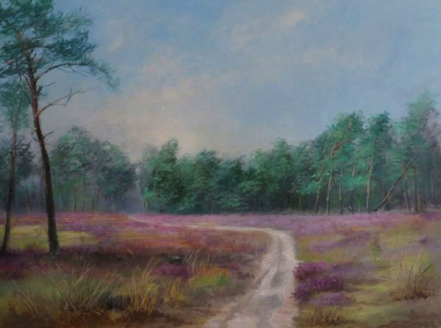 Lieremanlandschap