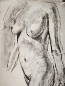 Houtskooltekeningen naakten