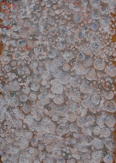 Roots I Zilte Schoonheid