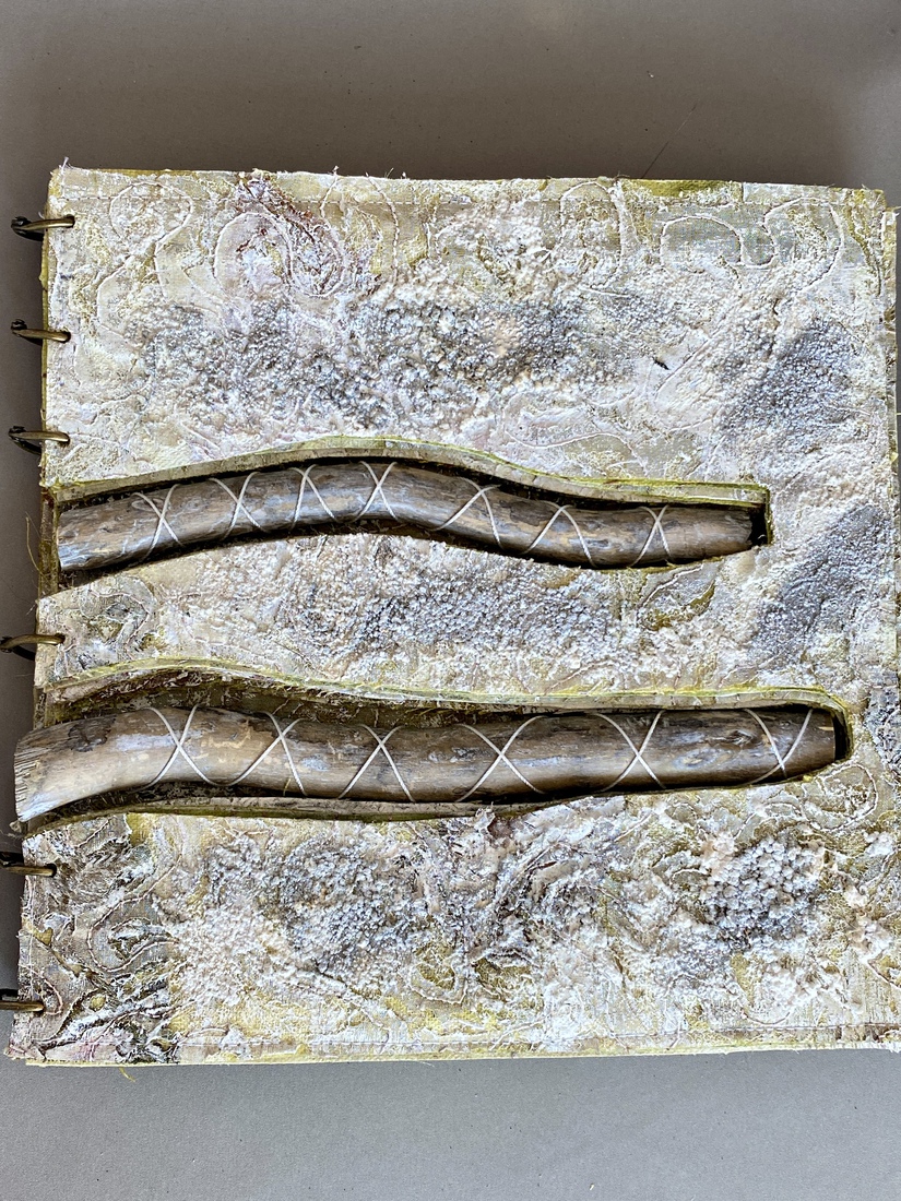 Insiscions: Verstild