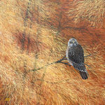 Van jongs af aan ben ik geboeid door vogels en ik heb ze dan ook in allerlei technieken getekend en geschilderd.