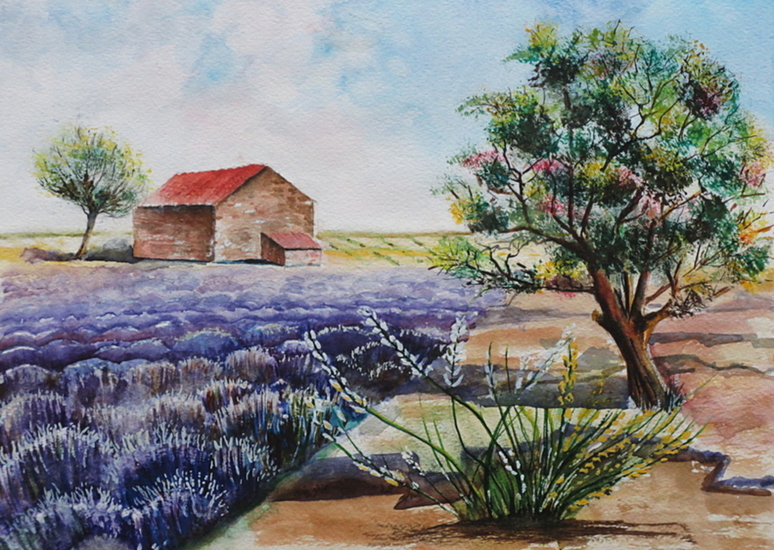 Lavendelveld in de Provence