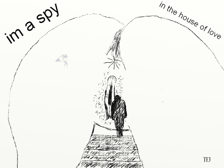 spy in the house of love