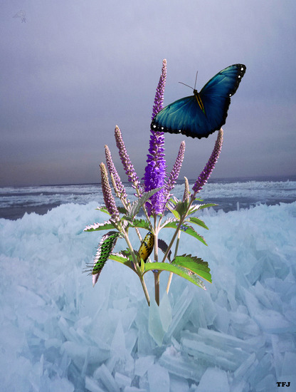 uit niks kan iets moois komen