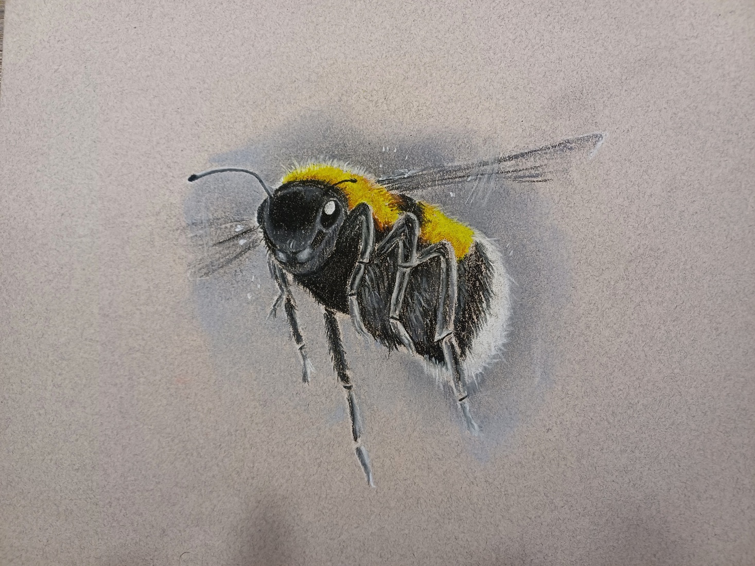 Hommel