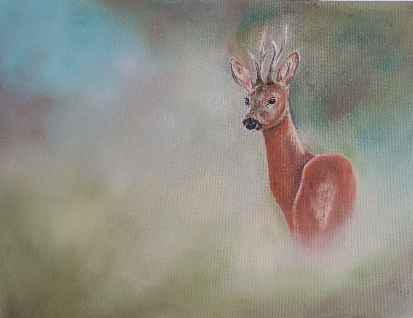 Ree in het wild