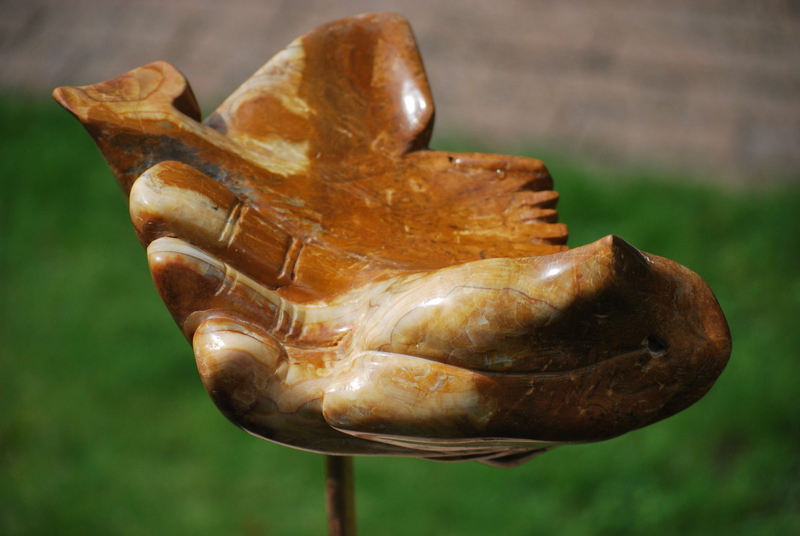 Hoop of Duif in Noach's hand