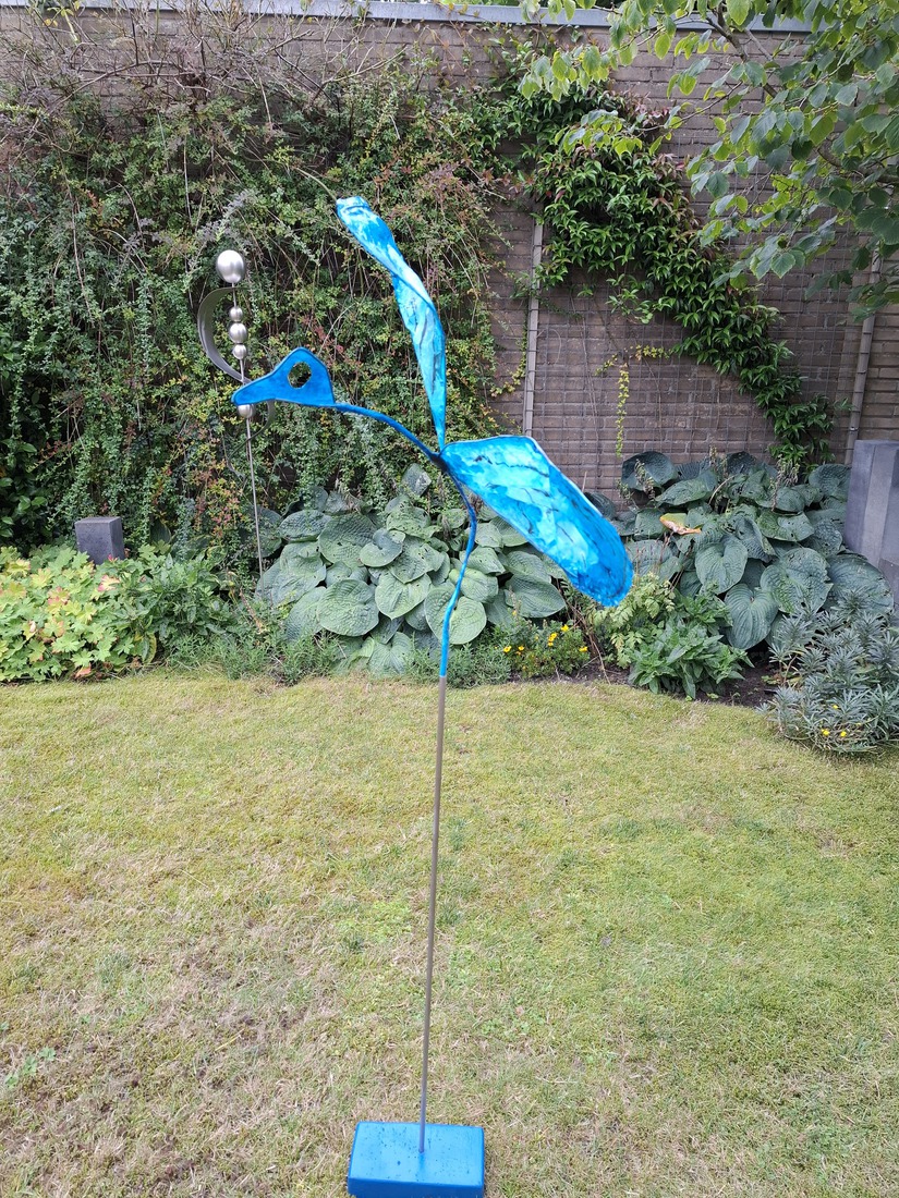 Paradijsvogel - Blauwtje