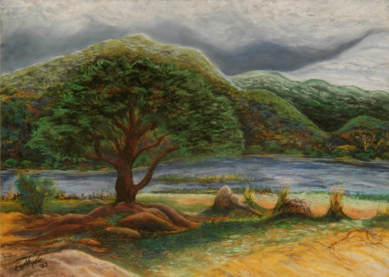 Zambezi river at Mana Pools (2)