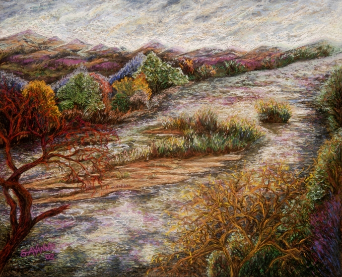 Mazowe river at Hippo Pools, Zimbabwe