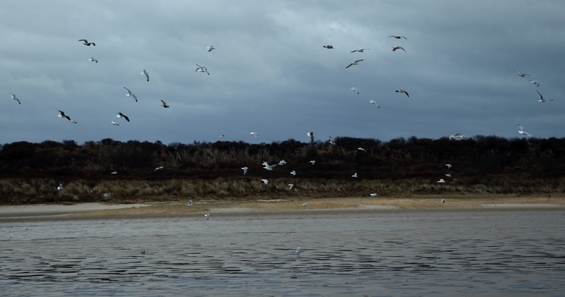 Prachtige dag aan het strand