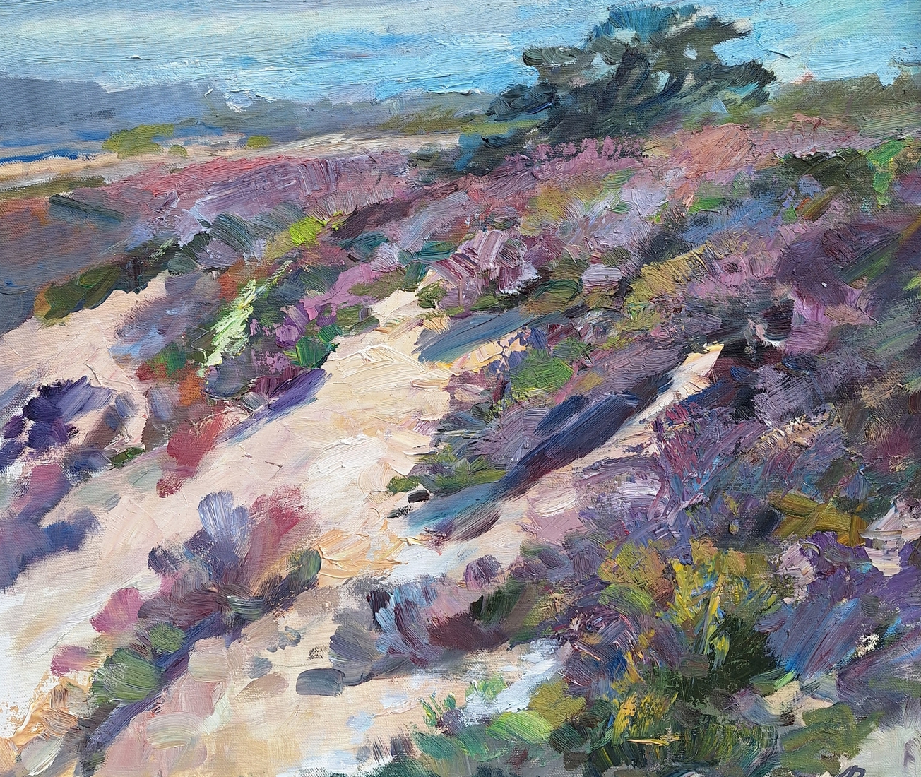 Heide 