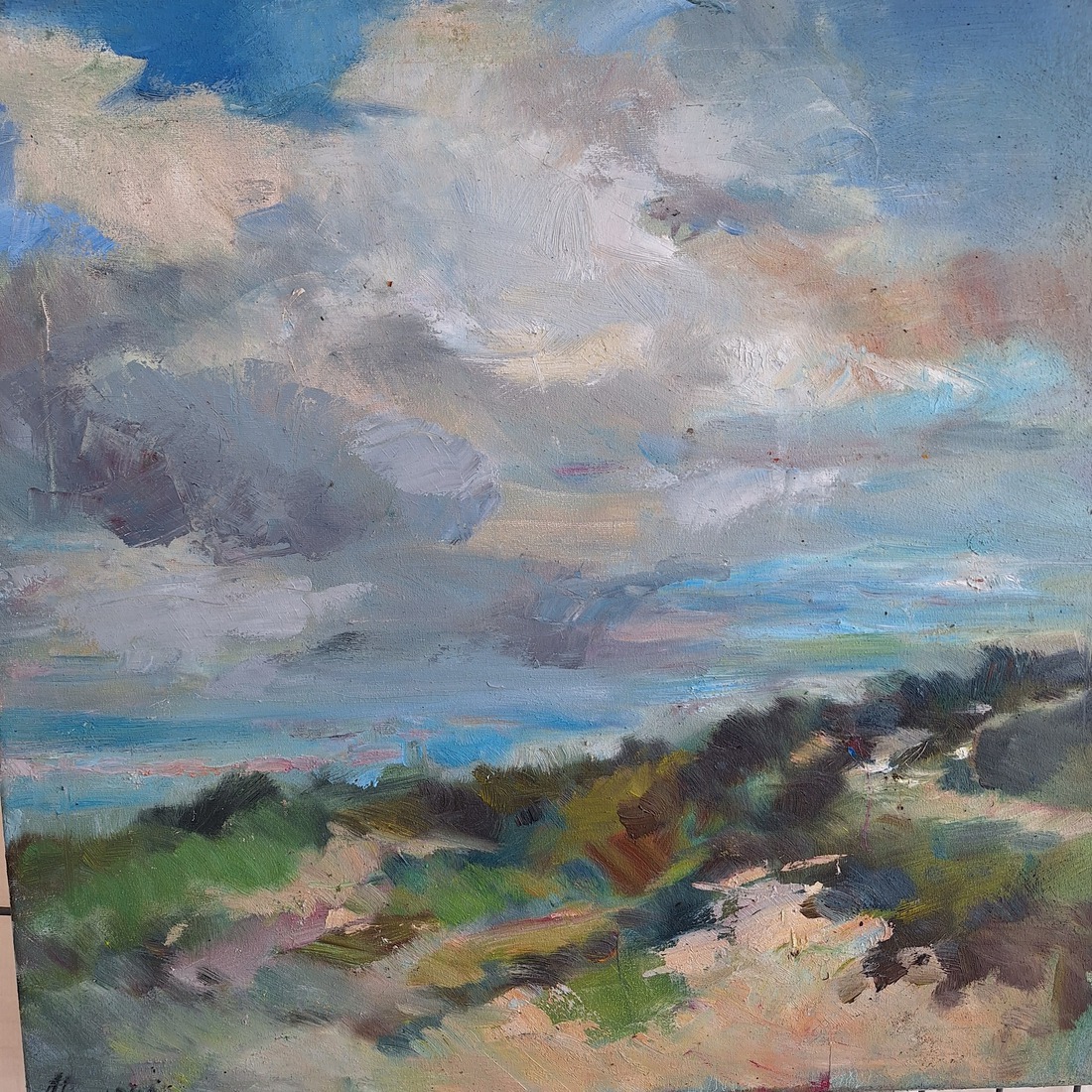 Zonnige duinen